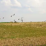 Na Klifie Villa